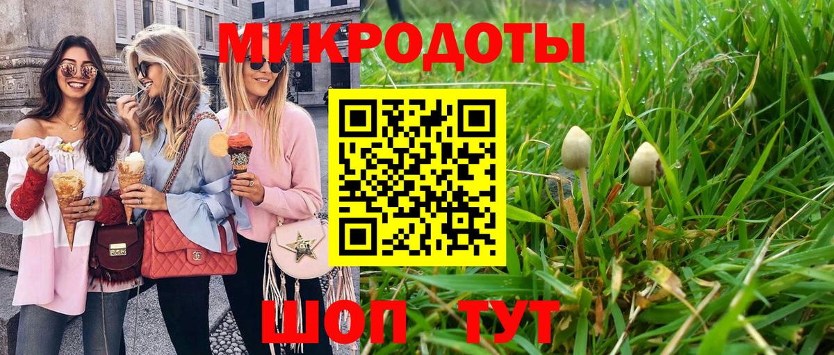 Псилоцибиновые грибы Cubensis  Галлюциногенные грибы мицелий  Гурьевск  Вход с VPN 