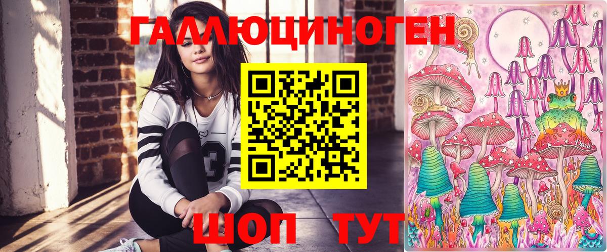 Галлюциногенные грибы Psilocybine cubensis Гурьевск